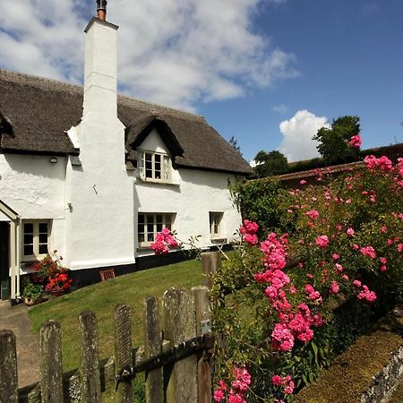 Brook Farmhouse Tedburn Zewnętrze zdjęcie